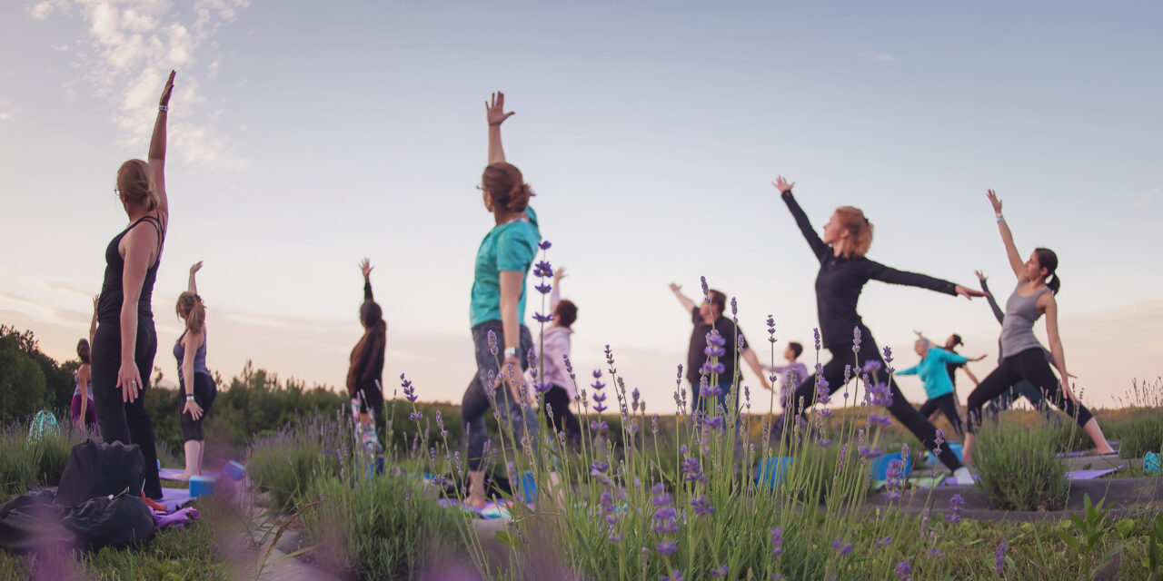 Yoga in the Lavender Field