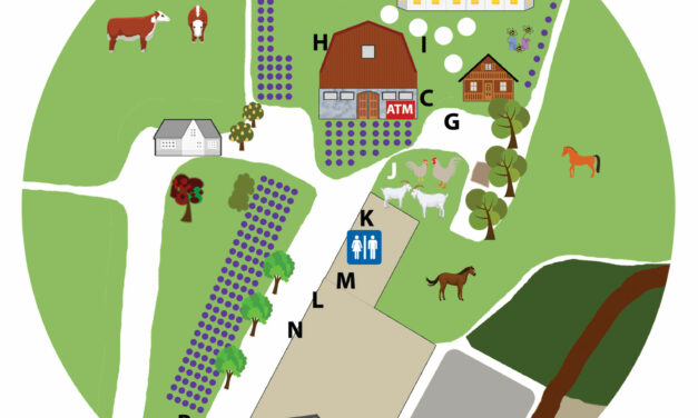 Map of the Farm