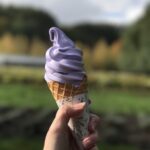 Lavender Ice Cream
