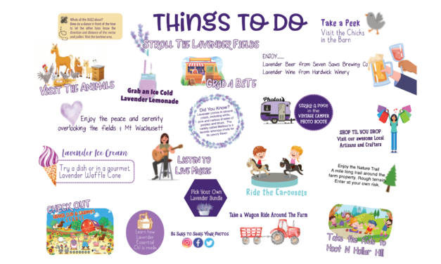 Things To Do